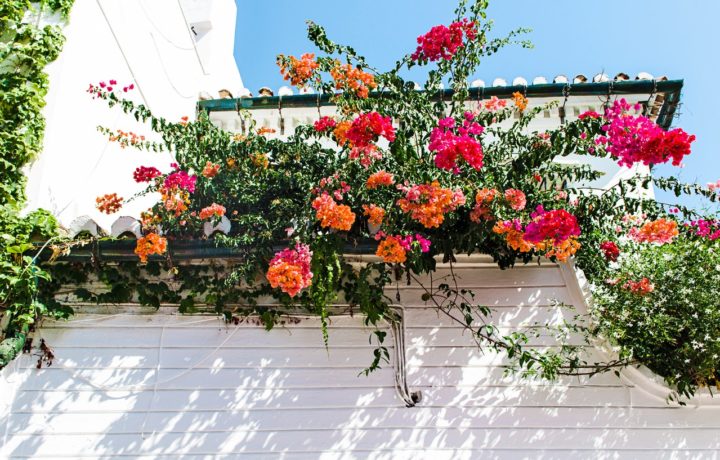 Achetez les bons papiers adhésifs pour vos meubles