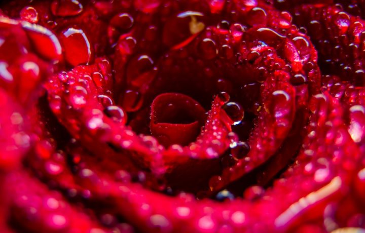 Pourquoi choisir un meuble Novo ?