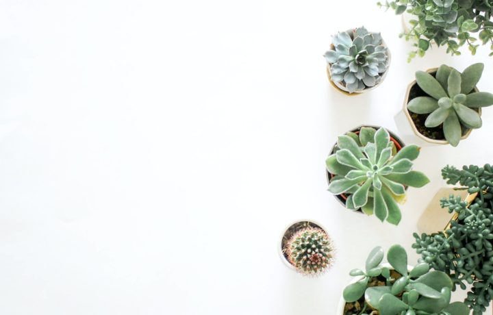 Quels meubles choisir pour sa buanderie ?