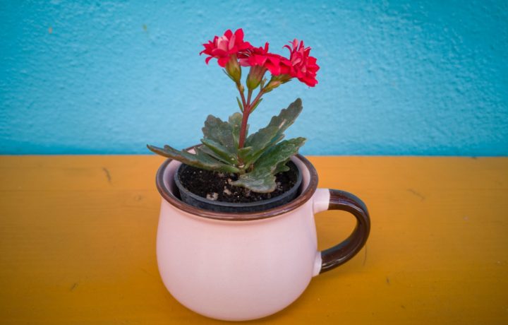 Donner un second souffle aux meubles vintage